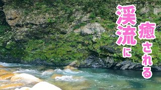 【三重の田舎暮らし】渓流を眺めるひと時