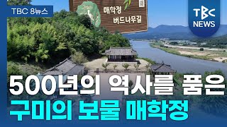 500년의 역사를 품은 매학정 ㅣ TBC영상뉴스