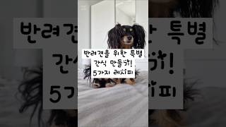 반려견을 위한 특별 간식 만들기! 5가지 레시피 #korean #건강관리#강아지간식 #반려견레시피 #강아지건강  #food