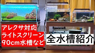 #01 【初投稿】アレクサ対応自作ライトスクリーンの90cm水槽など、手持ちの水槽を紹介します