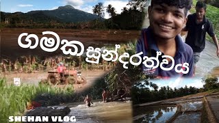 ගමක සුන්දරත්වය 🇱🇰🌱shehan vlog #trending #travel #srilankatravelvlog