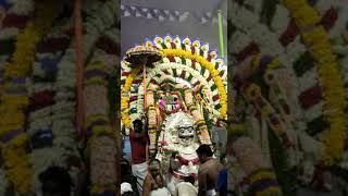 கபாலீசுவரர் திருக்கோயில் பங்குனி உற்சவம் | Kapaleeswarar Temple Panguni festival