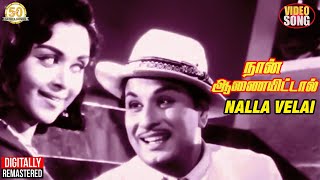 Nalla Velai Video Song | Naan Aanaiyittaal Tamil Movie | MGR | Saroja Devi | TMS | P Susheels | MSV