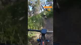 💥MTB 🐝 Trilho Colmeia 🌲 Monsanto🌲 Beehive Trail