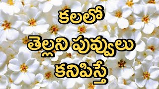 Kalalo White Flowers Kanipisthe | Kalalu Vati Phalithalu | Dreams In Telugu | Laxmi Devotional