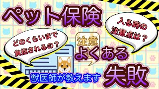 【トラブル回避】おすすめのペット保険の選び方‼︎6事例のトラブルを比較して解説‼︎よくある失敗を獣医師が解説-ペット保険って必要？不要？いくらまで負担してくれるの？保険が適応されない病気は？-