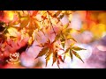 【賛美歌】hymn in autumn 秋のしらべ　賛美bgm