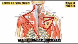 어깨부위 중요한 혈자리 지압하기 - 한동하의 지압신공