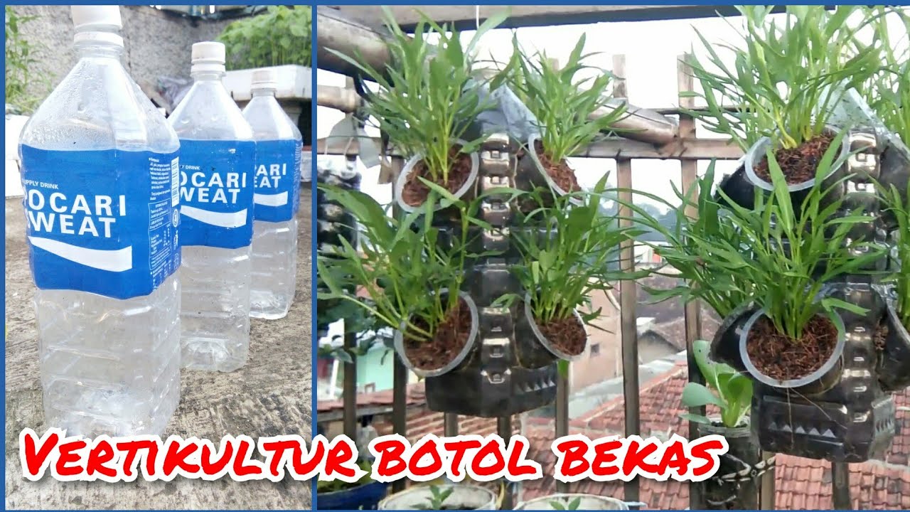 Vertikultur Botol Bekas Sangat Mudah Di Bikin || Simak Tutorialnya ...