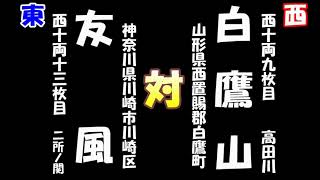 大相撲三月場所十三日目　白鷹山（2023-03-24）