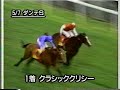 世界の競馬1995 world horse rasing 　愛ダービー「ウイングド ラブ　winged love」