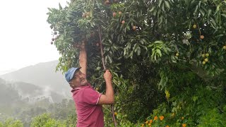 सोचों मित्रों कभी फुर्सत निकाल कर गांव पहाड़ उत्तराखंड के विकास की दिनचर्या में