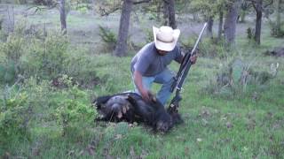 Calling Hogs Hog Hunting With Glenn Guess Hog Sounds