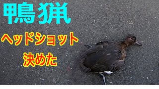 鴨猟＃１６　過去最長距離をヘッドショットで仕留める！