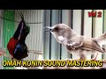 OMAH KONIN MASTERING 2 || CIBLEK