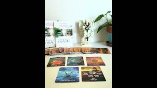 Tarot Reading for December 28 to 31, 2024