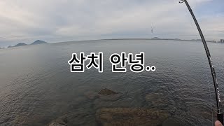 새만금낚시.새만금현황.삼치낚시