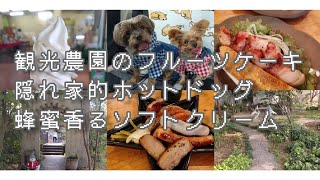 『犬とお出かけドライブ』 浮羽～朝倉