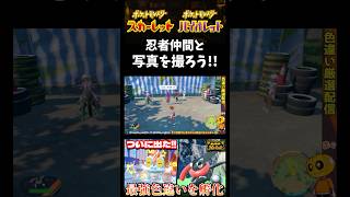 【ポケモンSV】大迷惑!?色違いゲッコウガを連れてスター団のシュウメイと写真を撮った結果w【スカーレット】【ポケモン】【切り抜き】【色違い厳選】【色違いポケモン】#shorts