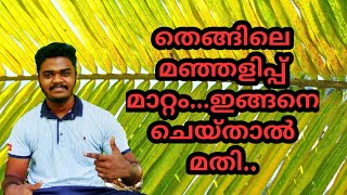 തെങ്ങിലെ മഞ്ഞളിപ്പ് രോഗം മാറ്റം...അതിന് ഇങ്ങനെ ചെയ്താൽ മതി...||coconut yellow spot diseases||