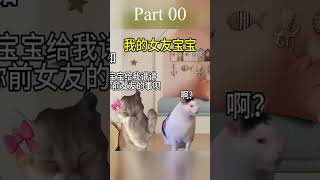 我的女友宝宝 #情侣日常 #猫咪表情包 #情侣表情包 #情侣 #猫咪 000