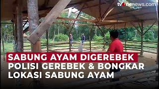 Detik-detik Polisi Gerebek dan Bongkar Arena Sabung Ayam di Jatim | OneNews Update