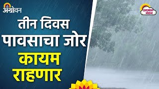 Maharashtra Rain Alert : विदर्भ आणि मराठवाड्यातील अनेक भागात जोरदार पावसाचा अंदाज | Agrowon