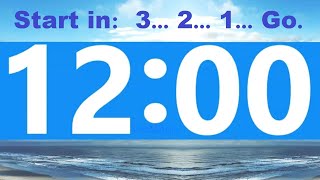 12 Minute Countdown Timer -Beep \u0026 Time Remaining at Each Minute * NO ADS DURING TIMER -No Music