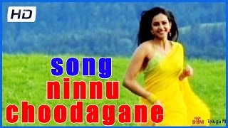 Loukyam Movie || Ninnu Choodagane Song Trailers - Gopi Chand, Rakul Preet Singh, Hamsa Nandini (HD)