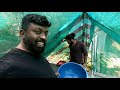 betta farm kerala ബീറ്റാ ഫാമിലെ രസകരമായ ജോലികൾ