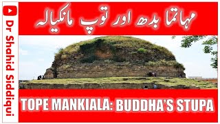 مہاتما بدھ اور توپ مانکیالہ I Tope Mankiala: Buddha's Stupa