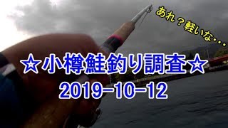 【鮭釣り】まったり鮭釣り♪釣れてきたのは意外な魚  2019/10/12 ☆札幌近郊釣り日誌☆【小樽】