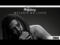 The Prophecy - Mekanik Mo Leker [Official Audio]