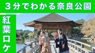 【和装フォトウエディング】奈良公園での和装前撮りの魅力が凝縮の２分４４秒