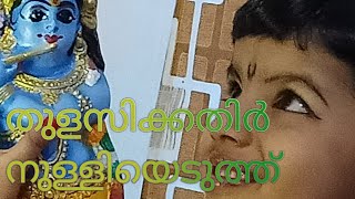 #thulasikkathir nulliyeduth/തുളസിക്കതിർ നുള്ളിയെടുത്ത് malayalam song by siyonasimith5yrs