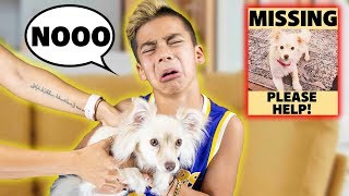 OUR SON REFUSES TO GIVE BACK The MISSING PUPPY... 😢 | The Royalty Family