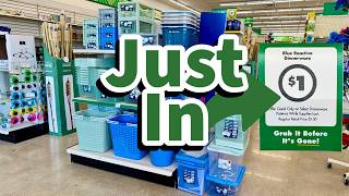 Dollar Tree 2026 | NEW Finds This Week😮😮😮