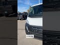 mini cargo van 2025 promaster