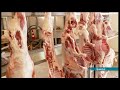 qurban bayramı qərb bölgəsində böyük coşqu ilə qeyd olunub arb kəpəz