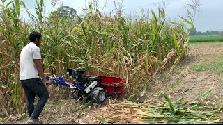 मक्का ज्वार बाजरा गेहू सभी फसल कटाई करणे वाली मशीन बडीया काम Human operated maize cutter machine