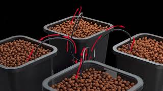 Wilma Dripper Hydroponic System