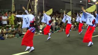 よみうり大花連／東口南通り演舞場／第31回南越谷阿波踊り2015（本祭二日目）