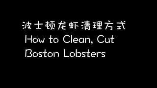 Boston Lobster Cleaning \u0026 Cut 波士顿龙虾的清理方式