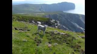 Dúlaman - Irish Song