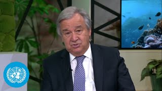 UN Chief on World Oceans Day: 'Climate Change, Biodiversity Loss and Pollution threaten our Oceans'
