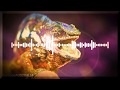 PNAU - Chameleon