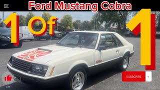 1979 Ford Mustang Cobra - 1 of 1