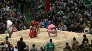 臥牙丸-大砂嵐/2017.3.22(45)/gagamaru-osunaarashi/day10 #sumo