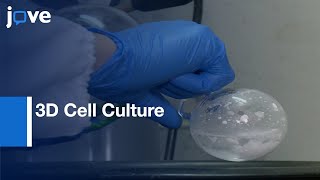 Preparation: Chitosan-Based Injectable Hydrogels \u0026 Application-3D Cell Culture l Protocol Preview