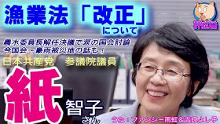 紙智子さん「漁業法改正の問題点について」インタビュー(紙智子 日本共産党参議院議員)